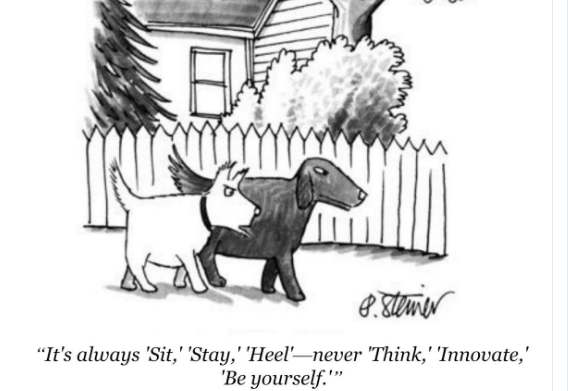 innovation-dogs